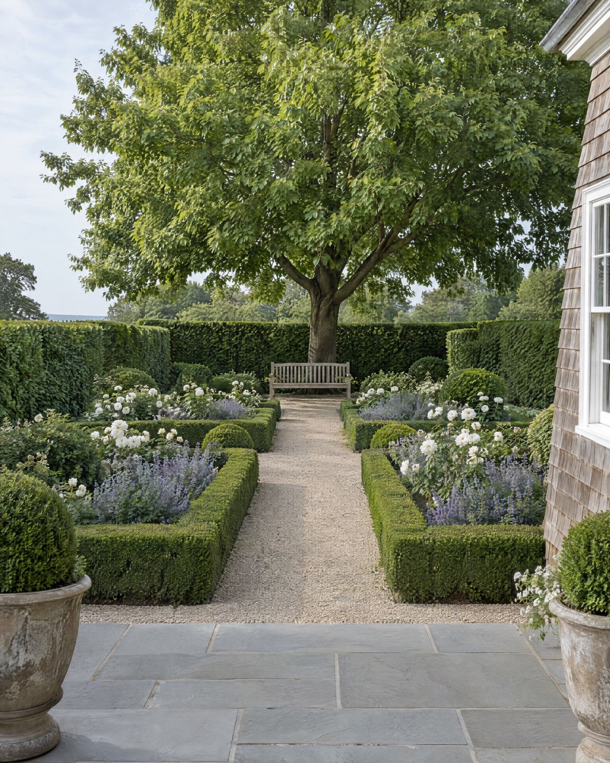 A formal garden room seen from a bluestone terrace: a boxwood parterre with white roses and catmint, hornbeam hedge walls and a gravel path to a bench under a linden tree